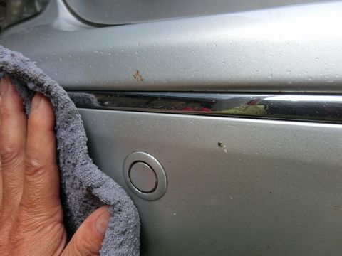 車の虫殻落としに役立つ水洗い方法のアドバイス