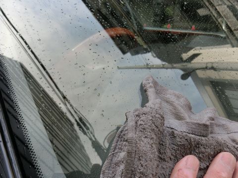 洗剤洗いで車の塗装を傷めずに虫殻を取り除く方法