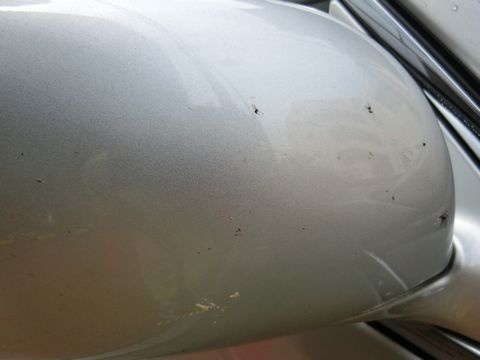 タオル拭きで車の虫殻を簡単に取り除く便利な方法