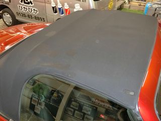 車の塗装に優しい鳥の糞を除去する洗車方法のコツ