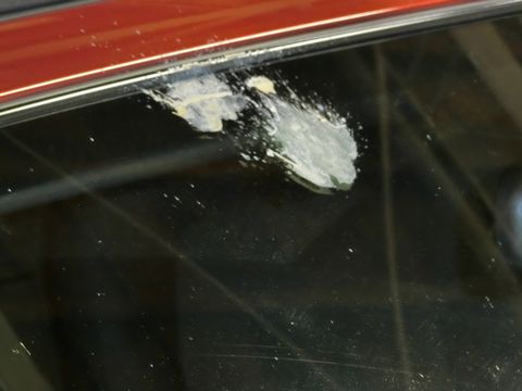 洗剤洗い無しで鳥の糞を車のガラスから洗い流す方法