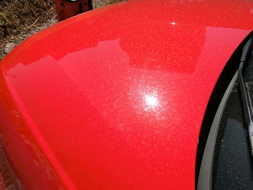 赤い車で見る塗装に優しいクリーティング・ケアの参考例