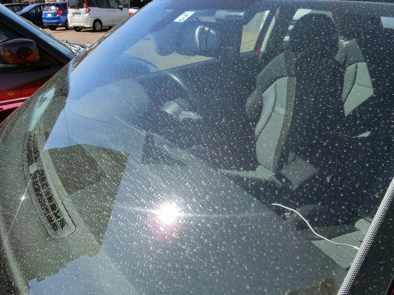 クリーティングコートの保護膜で車の汚れを簡単除去