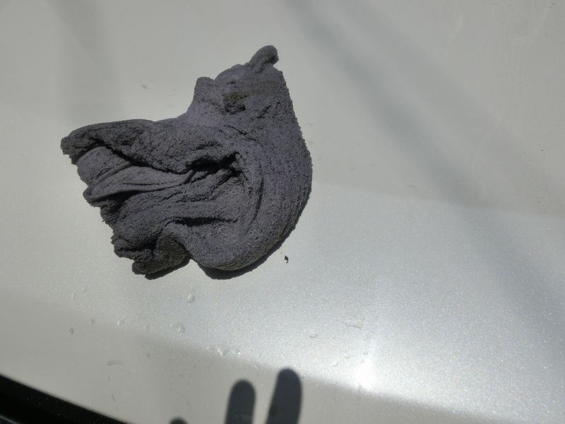 車の塗装を痛めずに鳥の糞を落とすタオル拭き洗車